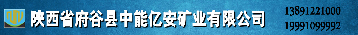 陜西省府谷縣中能億安礦業(yè)有限公司